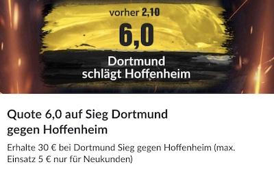 bvb hoffenheim bildbet