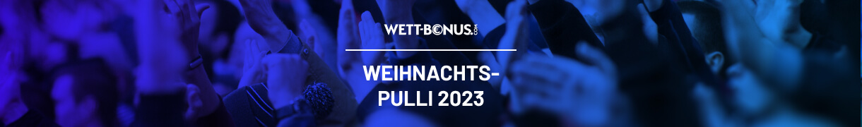 Weihnachtspulli Preisvergleich 2023